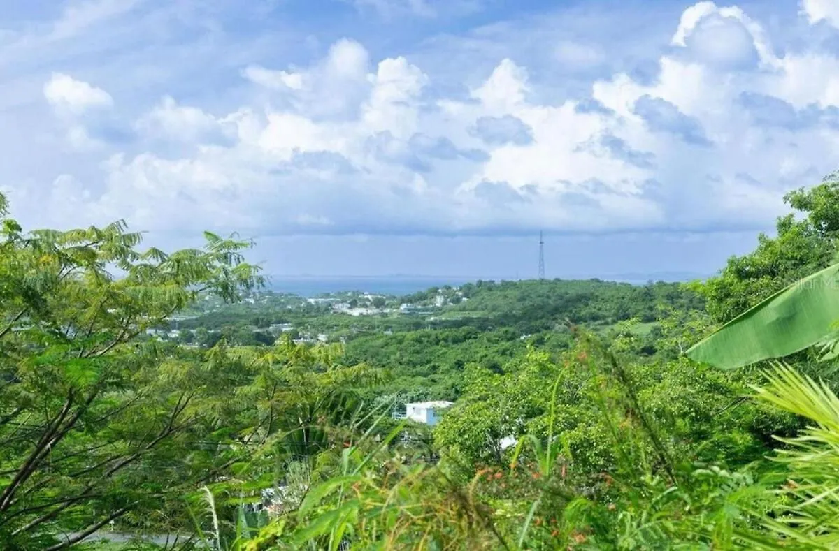 Villa Las Terrazas Vieques Puerto Rico